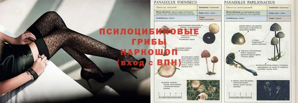мдма Кодинск