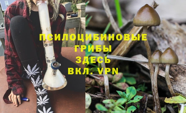 метамфетамин Козельск