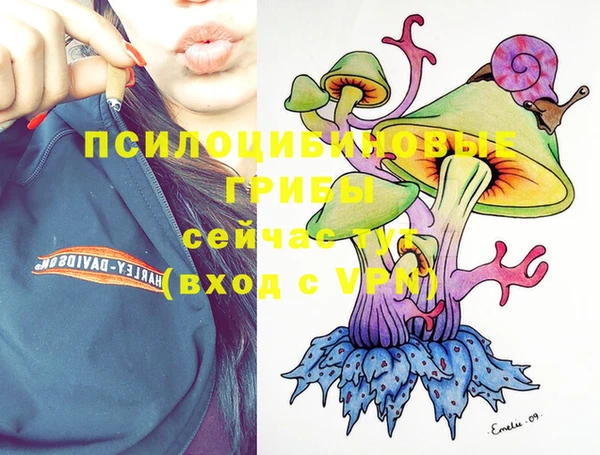метамфетамин Козельск