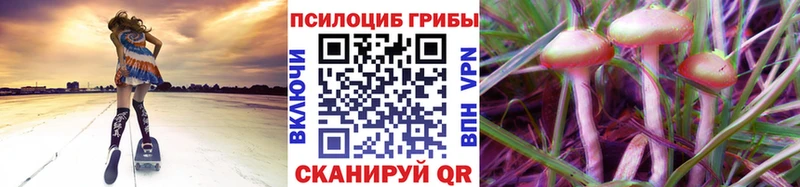 Псилоцибиновые грибы прущие грибы  Брюховецкая 